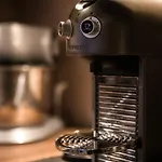 Kwiat Sniegu Deluxe Kolo Gubalowki Nowe Bystre
