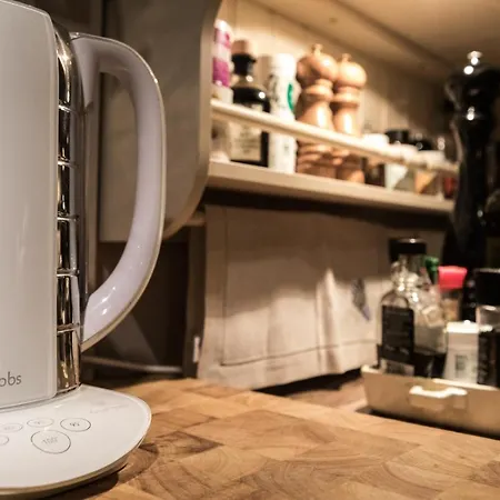 Chalet Kwiat Sniegu Deluxe Kolo Gubalowki Nowe Bystre